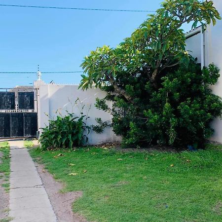 Palm Heaven B&B East London Exterior photo